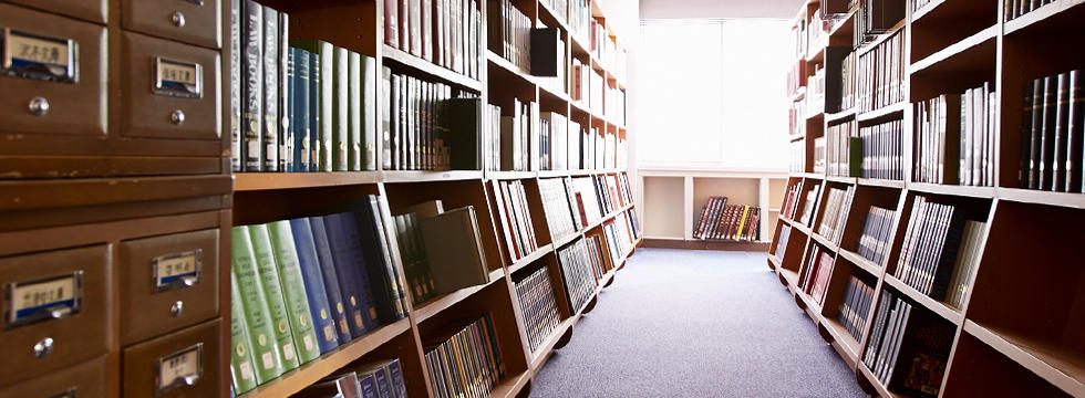 政治学科