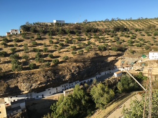 spain oliva