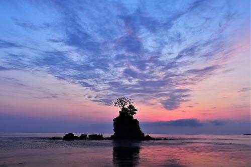 20250402photo_contest