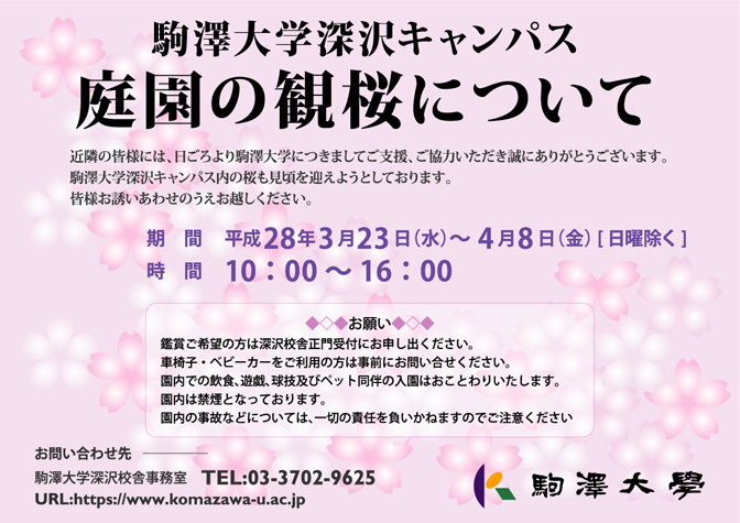 深沢キャンパス 庭園の観桜について
