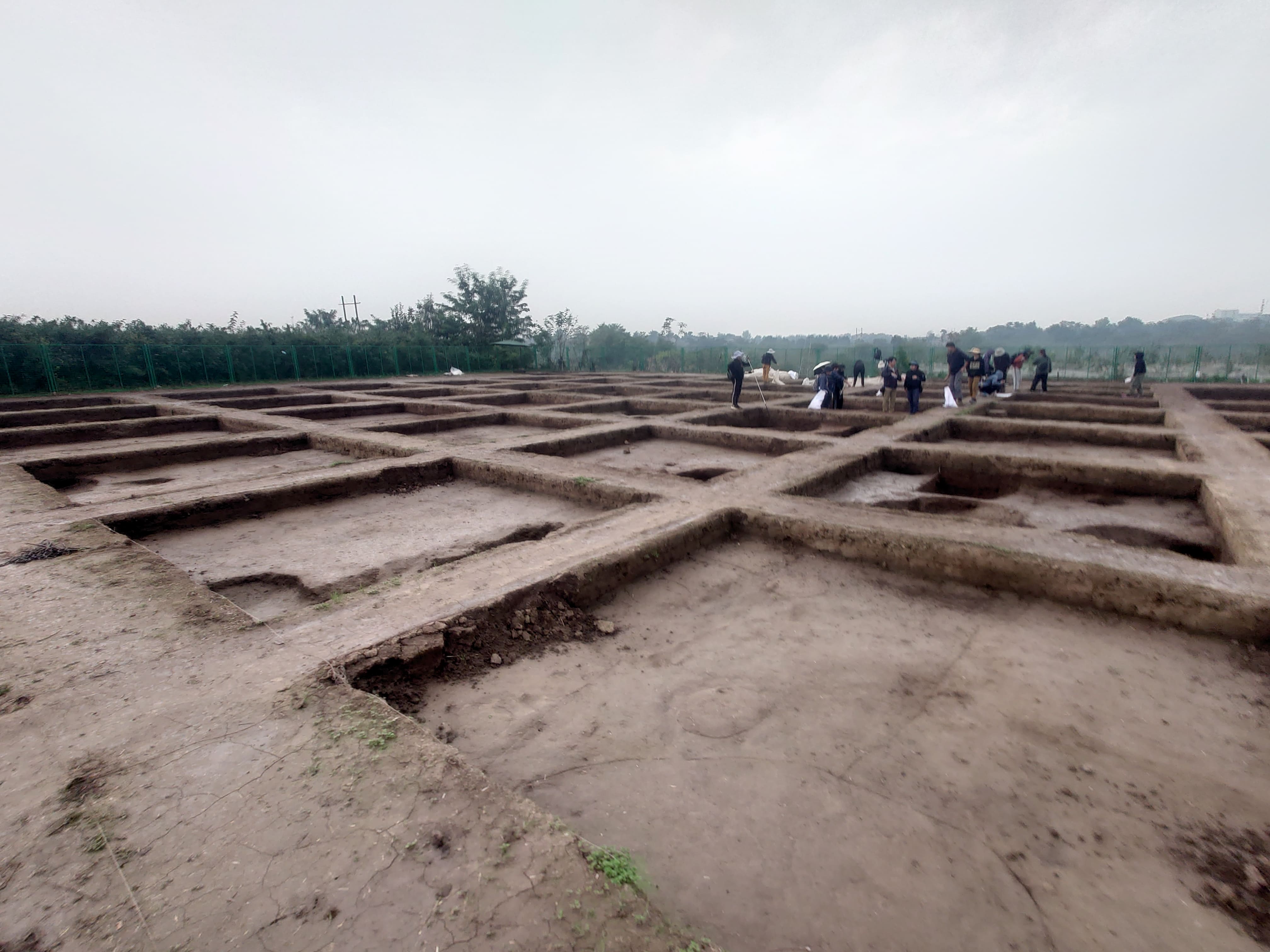 周原遺跡王家嘴地点 周原遺跡王家嘴地点