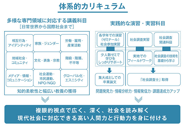 系的なカリキュラム