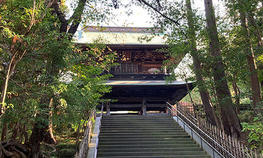 禅文化歴史博物館が「第17回ふれあい禅寺めぐり『円覚寺で学ぶ鎌倉の禅』」を催行しました