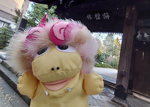 20221111zenpaku02.jpg