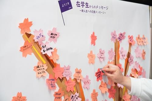 20240408circle_festival_04